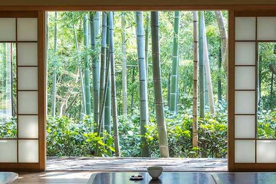 Arashiyama Bamboo Cafe