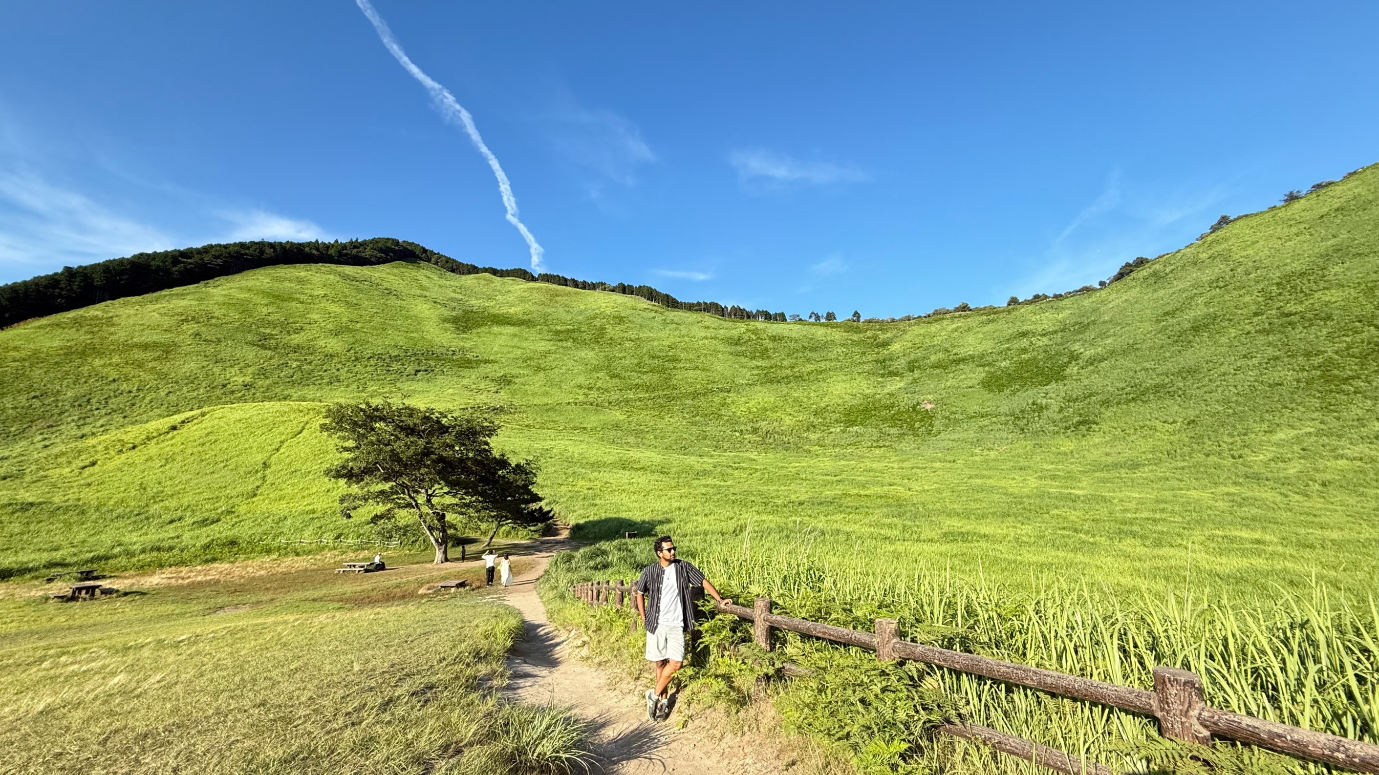 Soni Kogen: Nara's Golden Sea of Pampas Grass