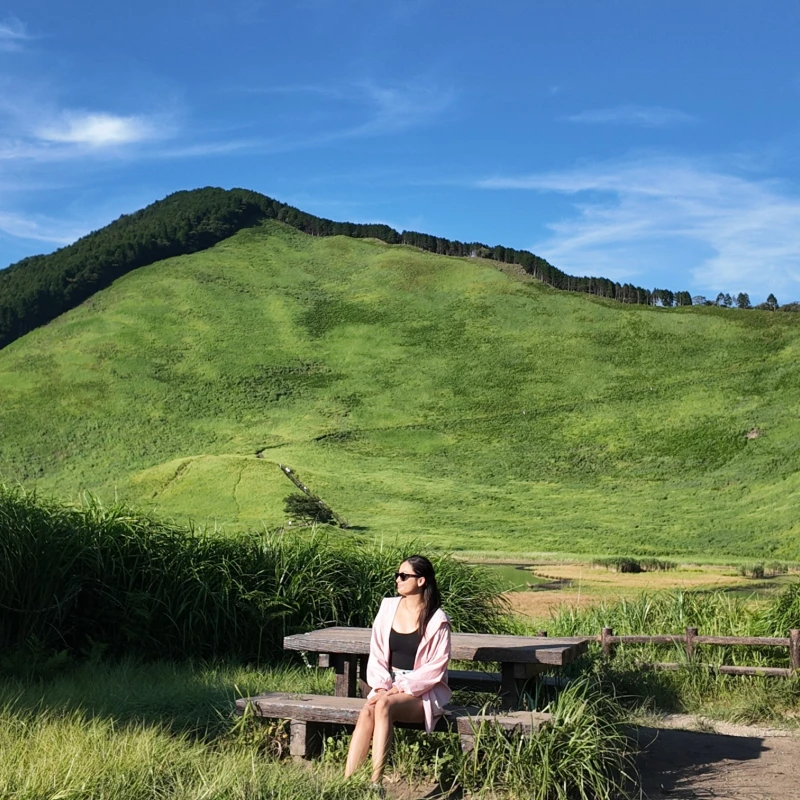 Gallery image for Soni Kogen: Nara's Golden Sea of Pampas Grass