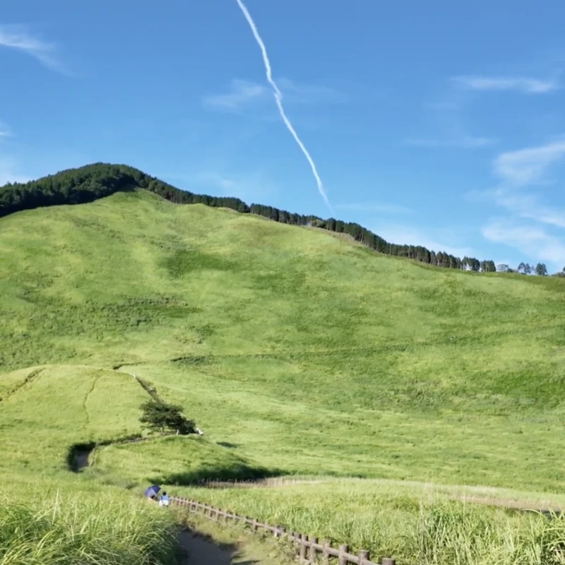Gallery image for Soni Kogen: Nara's Golden Sea of Pampas Grass