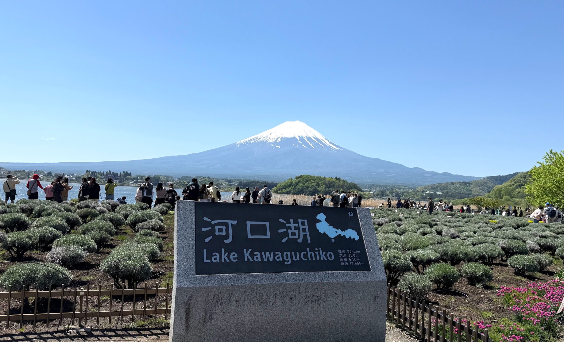 Lake Kawaguchiko: The Premier Gateway to Mount Fuji