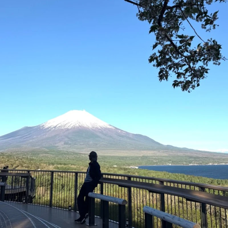 Gallery image for Discovering Mount Fuji: A Hakone and Five Lakes Journey