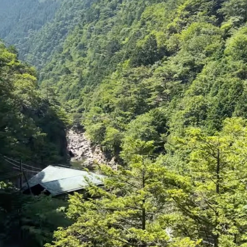 Gallery image for Tenkawa Village: The Land of Sky, Trees, and Rivers