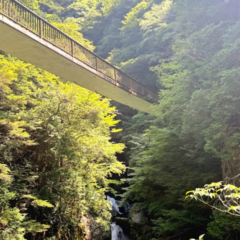 Gallery image for Tenkawa Village: The Land of Sky, Trees, and Rivers