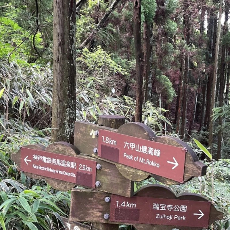 Gallery image for The Mt. Rokko Traverse: City, Summit, and Springs
