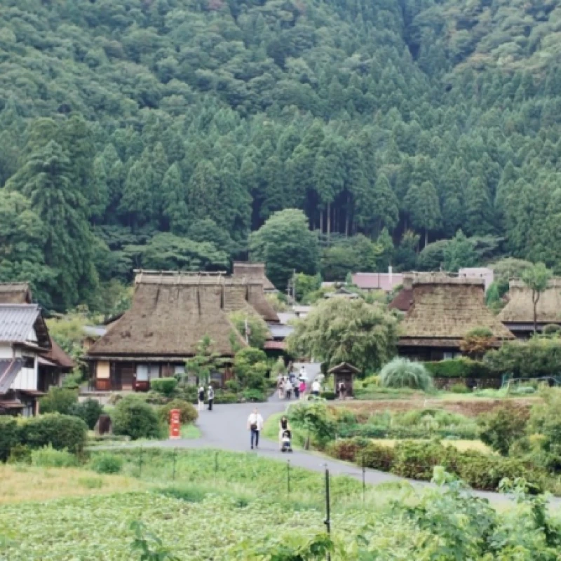 Gallery image for Kayabuki no Sato Guide: Exploring Miyama's Hidden Rural Hamlet
