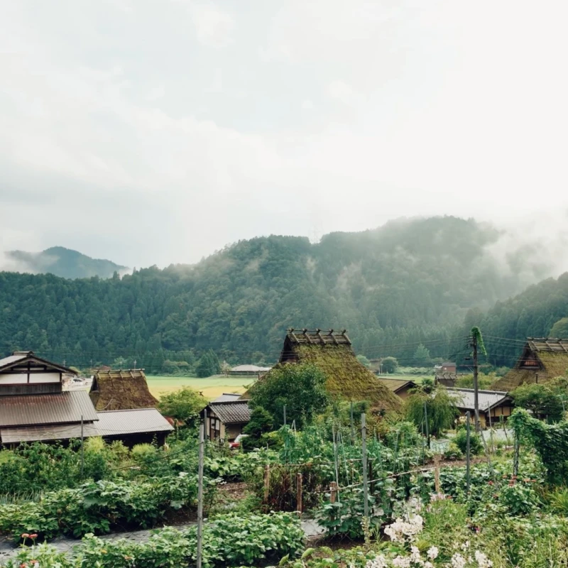 Gallery image for Kayabuki no Sato Guide: Exploring Miyama's Hidden Rural Hamlet