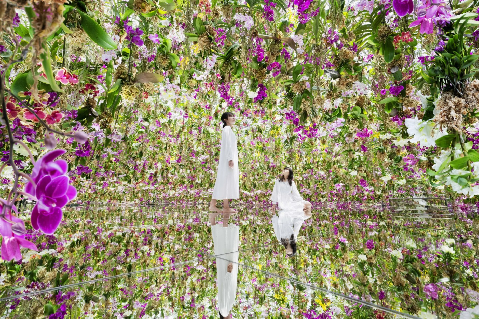 teamLab Planets TOKYO: Tokyo's Barefoot Digital Art Museum
