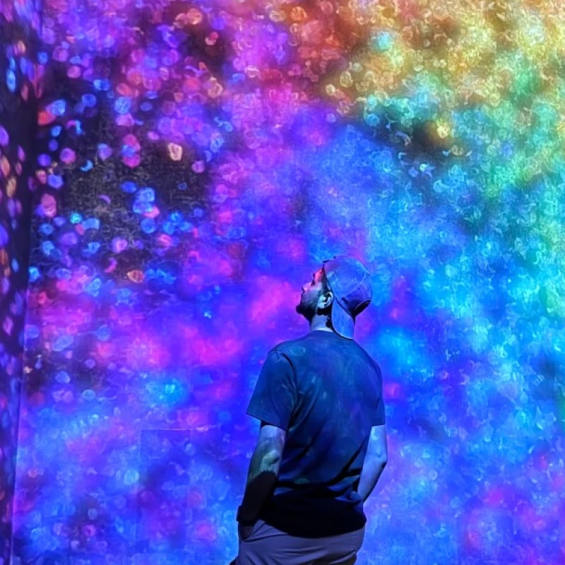 Gallery image for teamLab Planets TOKYO: Tokyo's Barefoot Digital Art Museum