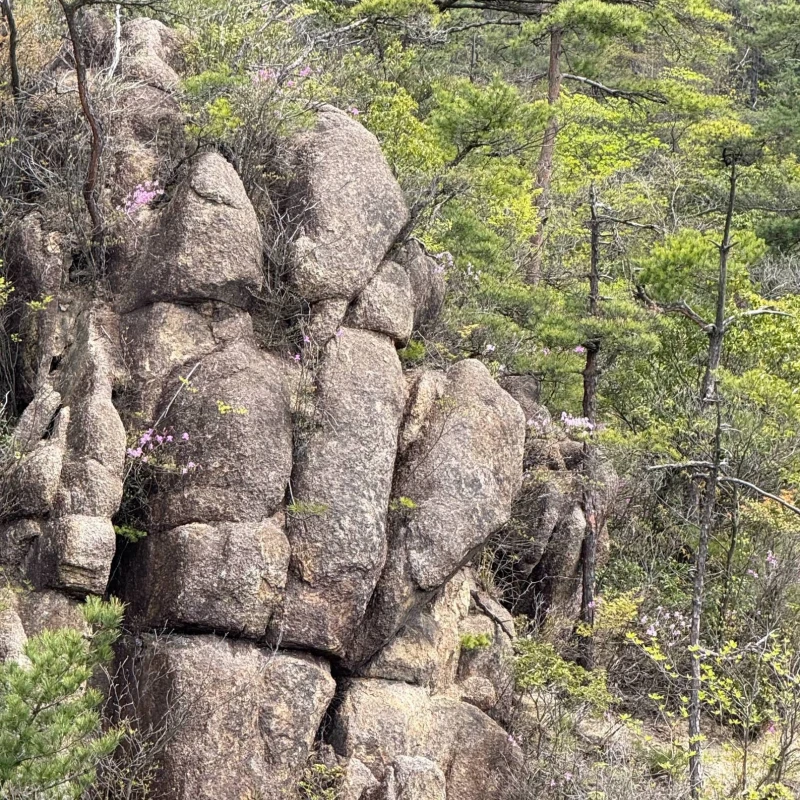 Gallery image for Konze Alps: Giant Boulders, Ropes, and Stunning Lake Biwa Views in Shiga