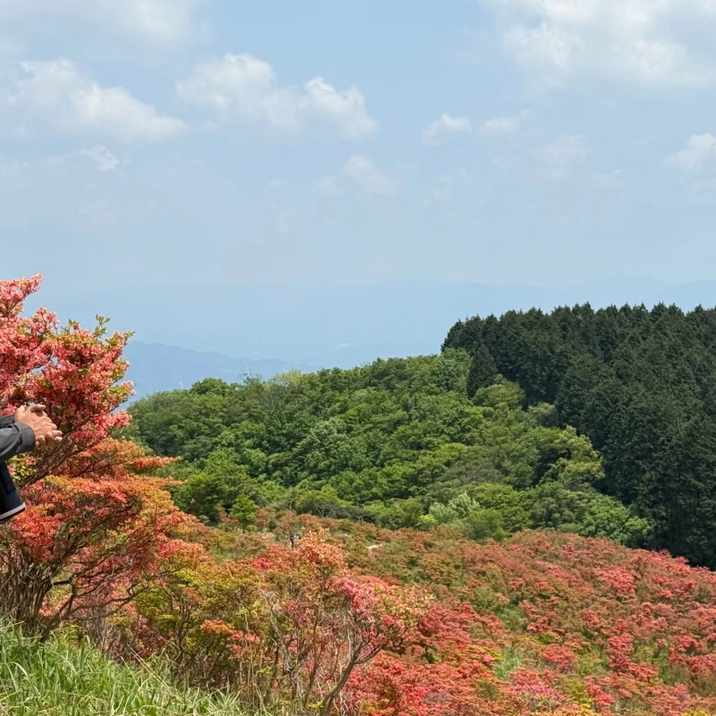 Gallery image for Katsuragi Kogen: The 360-Degree Panorama and Azalea Paradise