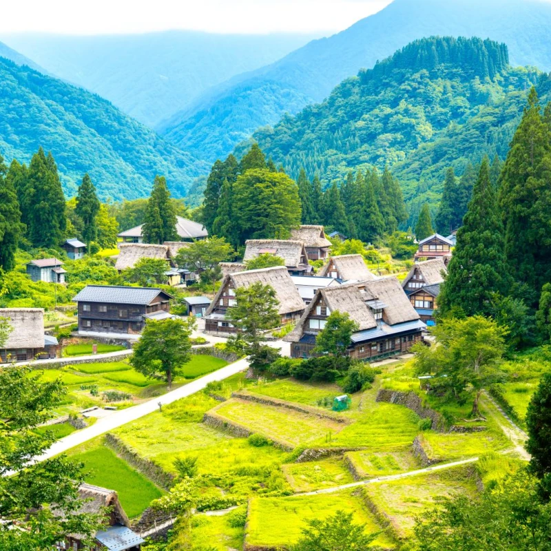 Gallery image for Gokayama