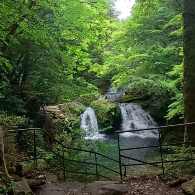 Gallery image for Akame 48 Waterfalls: Ninja History and Scenic Hiking in Mie