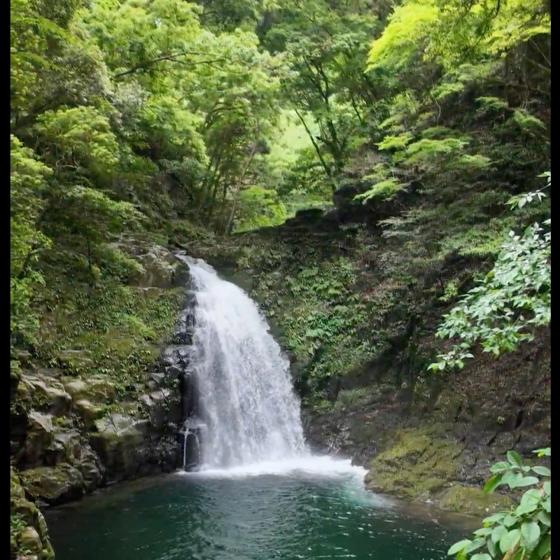 Gallery image for Akame 48 Waterfalls: Ninja History and Scenic Hiking in Mie