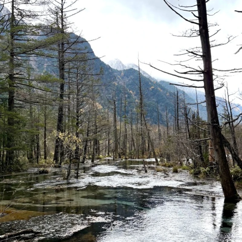 Gallery image for Kamikochi: The Ultimate Alpine Camping Experience from Osaka & Tokyo