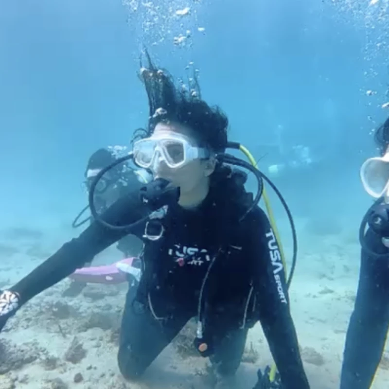 Gallery image for Shirahama Underwater: Discovering Wakayama's Ocean Magic at Blue Life Diving