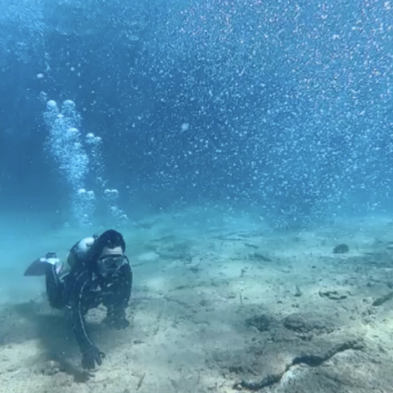Gallery image for Shirahama Underwater: Discovering Wakayama's Ocean Magic at Blue Life Diving