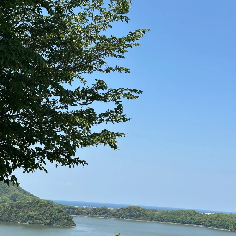 Gallery image for Tottori Sand Dunes: Japan's Coastal Desert & Seafood Paradise