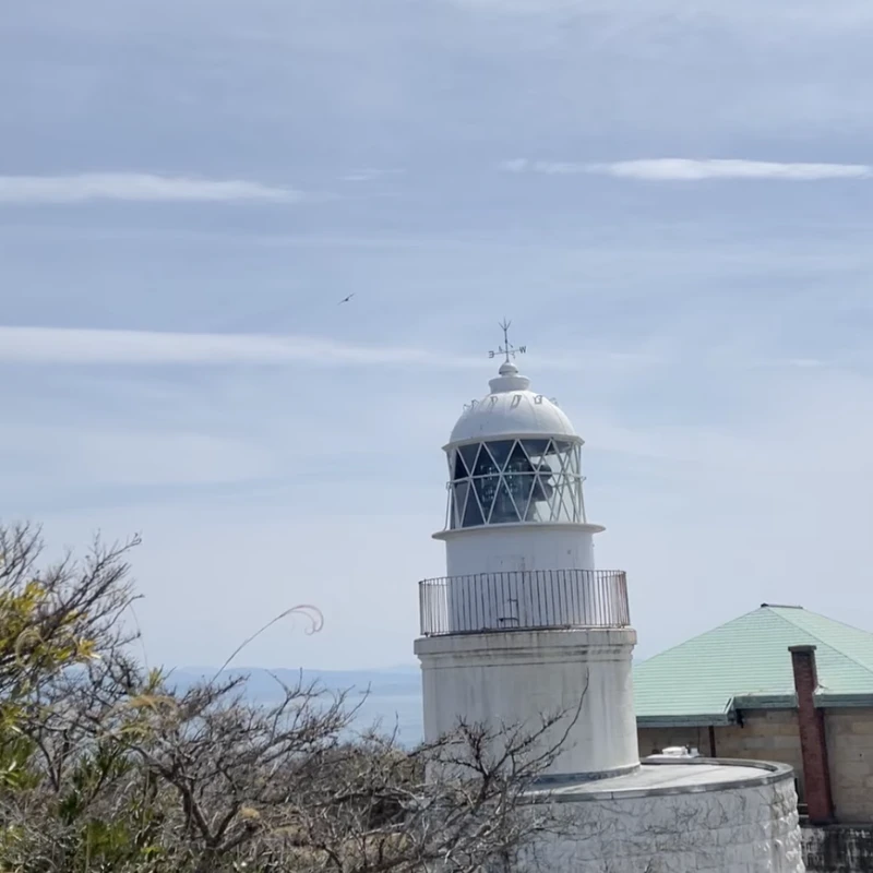 Gallery image for Tomogashima: Wakayama's Real-Life Castle in the Sky